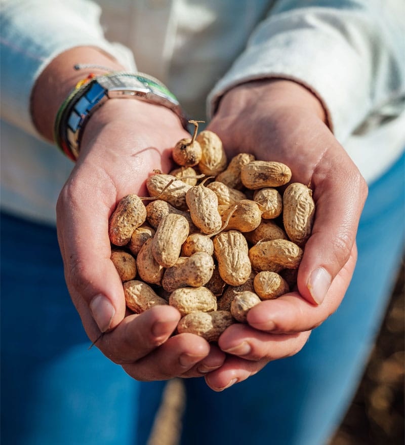 Find our Nuts Near You - Luray Peanut Co